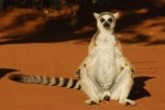 Galería: ATSINANANA Madagascar