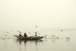 Galería: VARANASI India